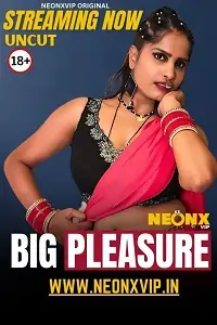 Big Pleasure 2025 Hindi Short Film BollyFlix
